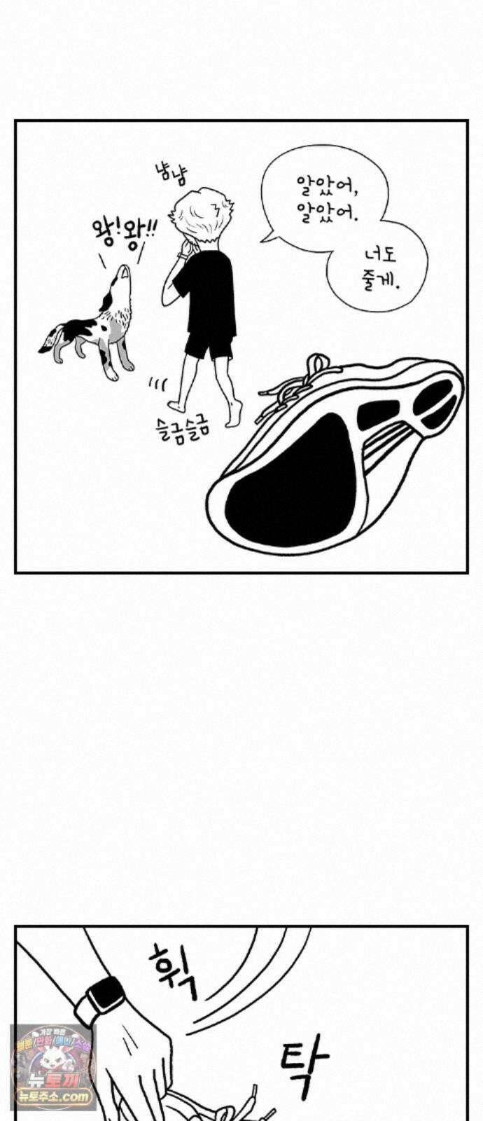 펫로스클럽 ＃39． 쿠키 앤 크림 15