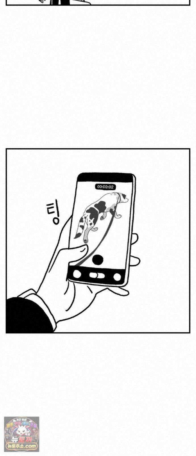 펫로스클럽 ＃39． 쿠키 앤 크림 27