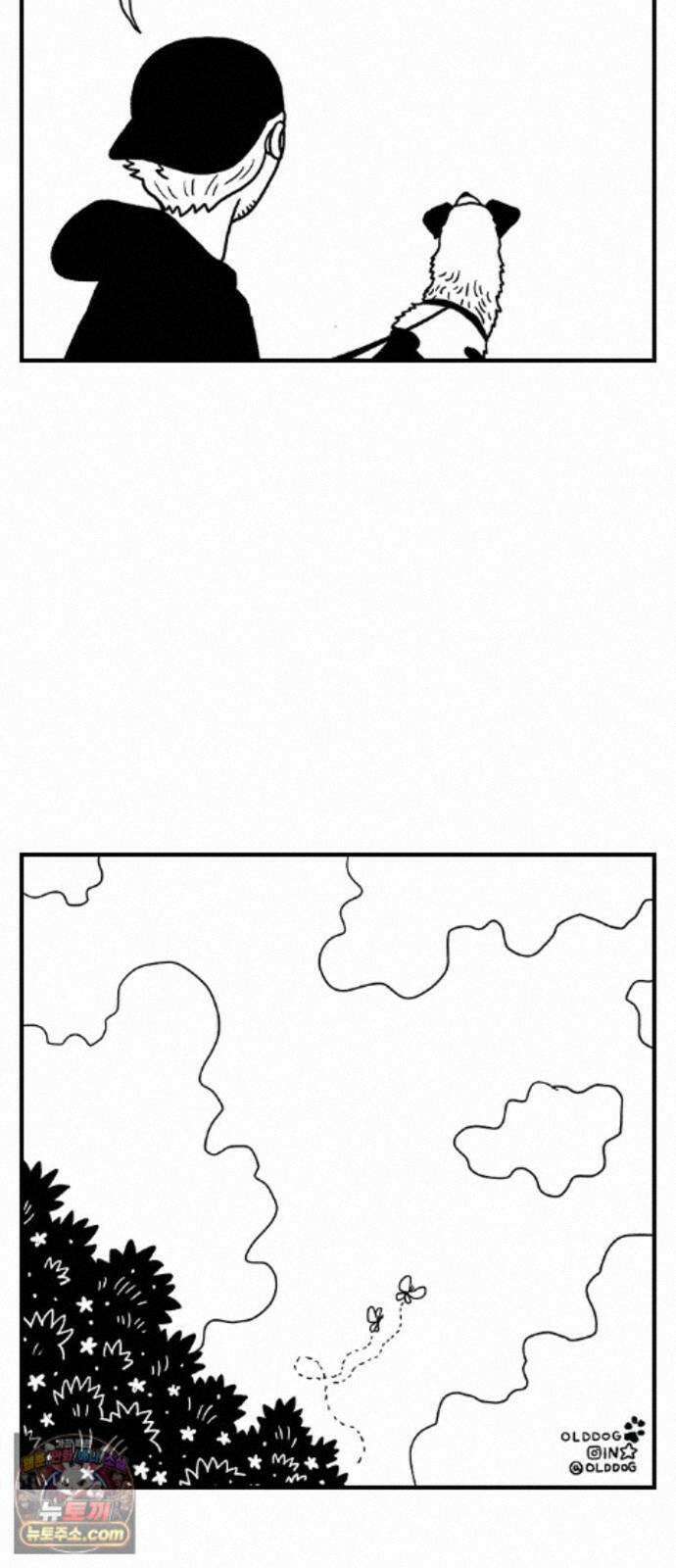 펫로스클럽 ＃39． 쿠키 앤 크림 39