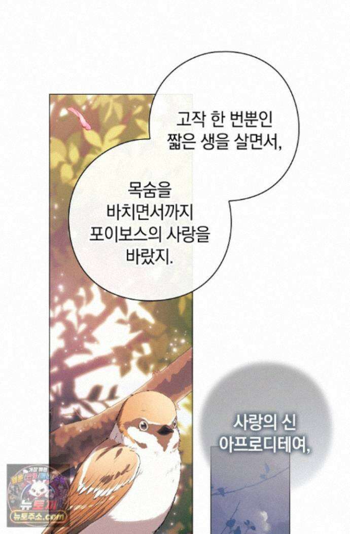 여신들을 위하여 : 다프네를 위하여 다프네를 위하여 45화 66