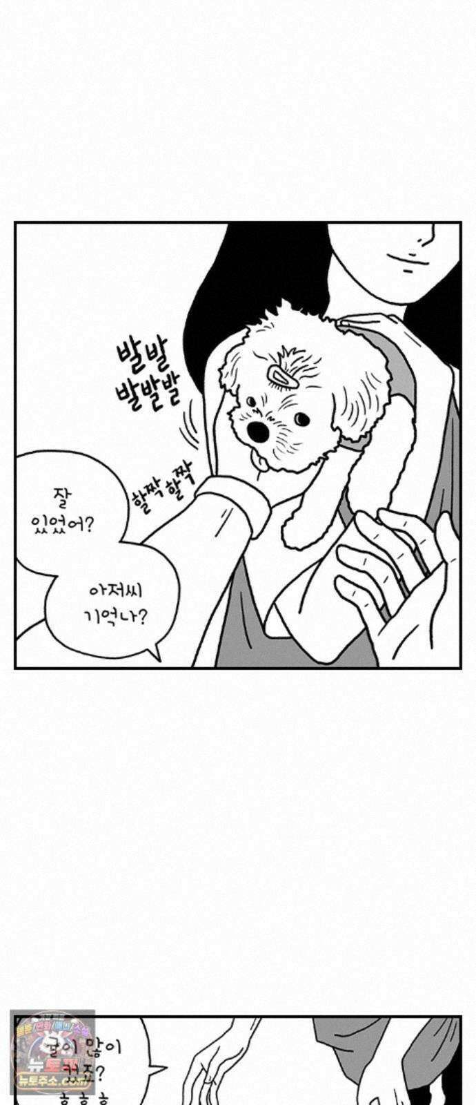 펫로스클럽 ＃41． 귤 피트니스 8