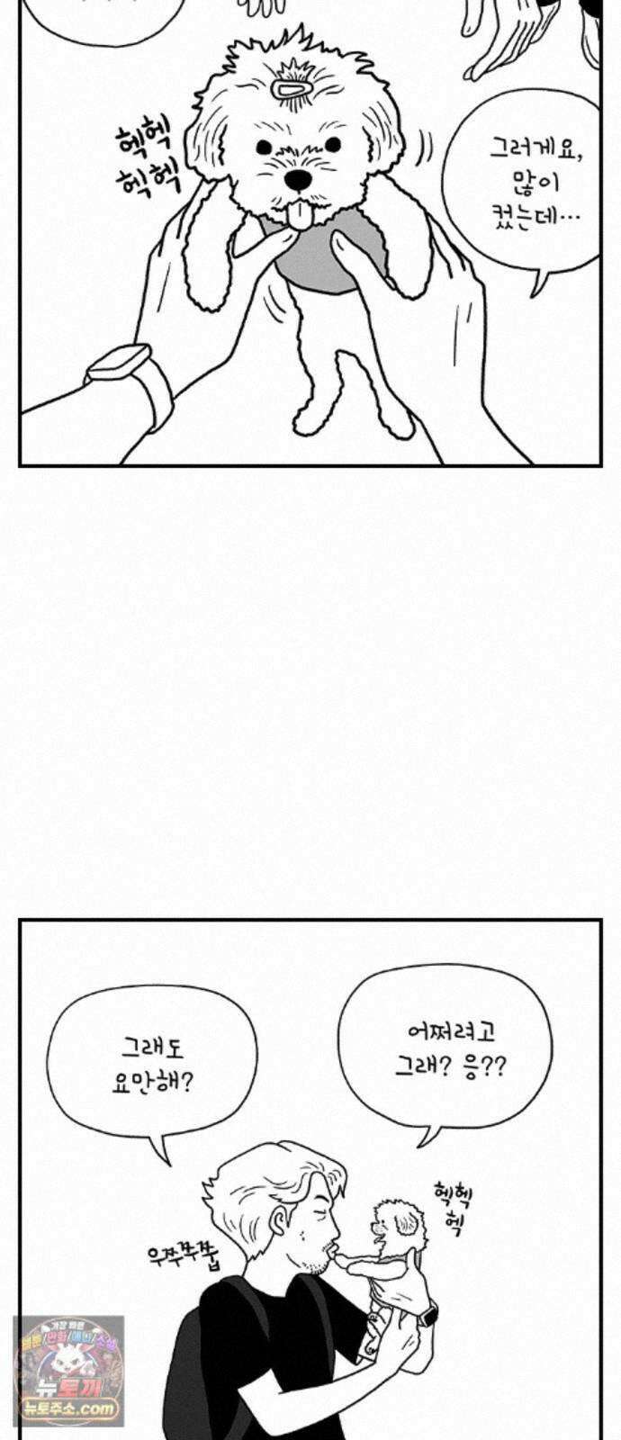 펫로스클럽 ＃41． 귤 피트니스 9