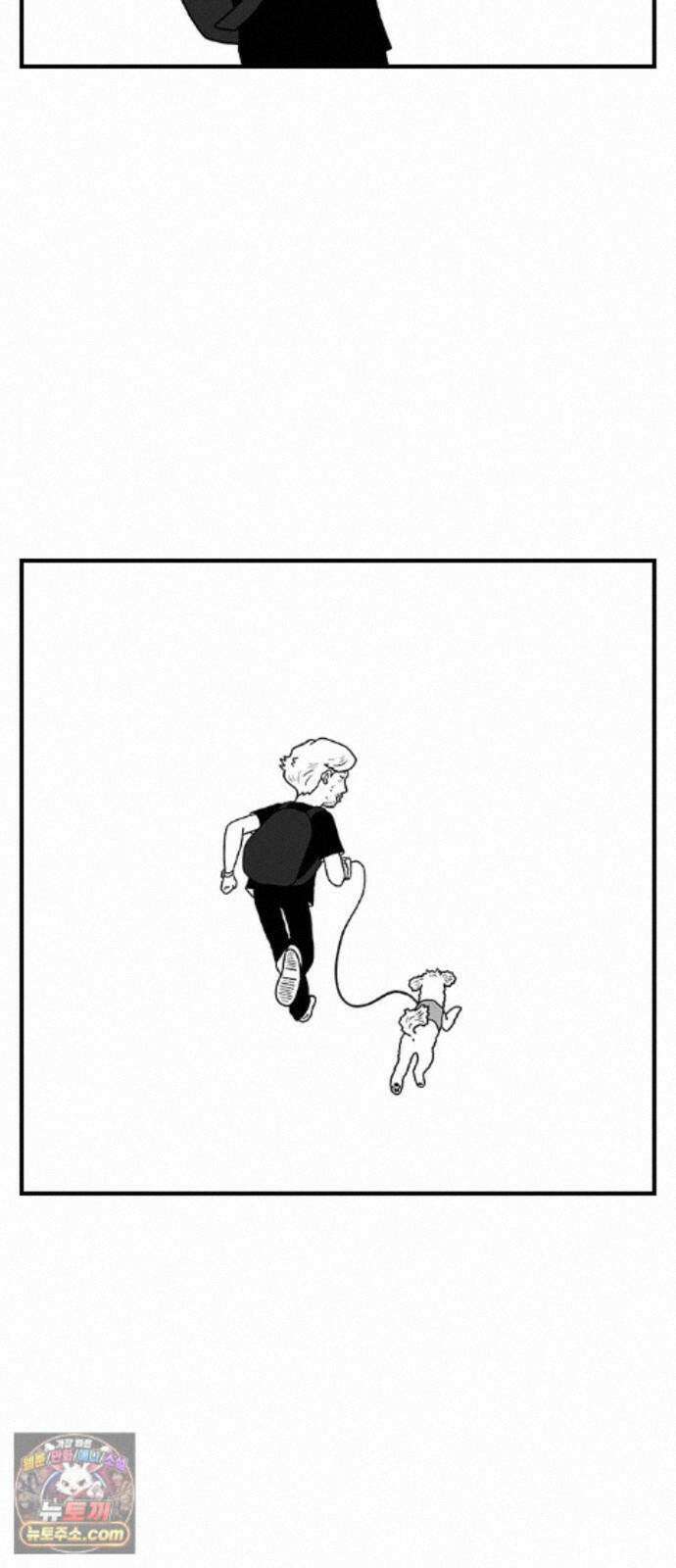 펫로스클럽 ＃41． 귤 피트니스 10