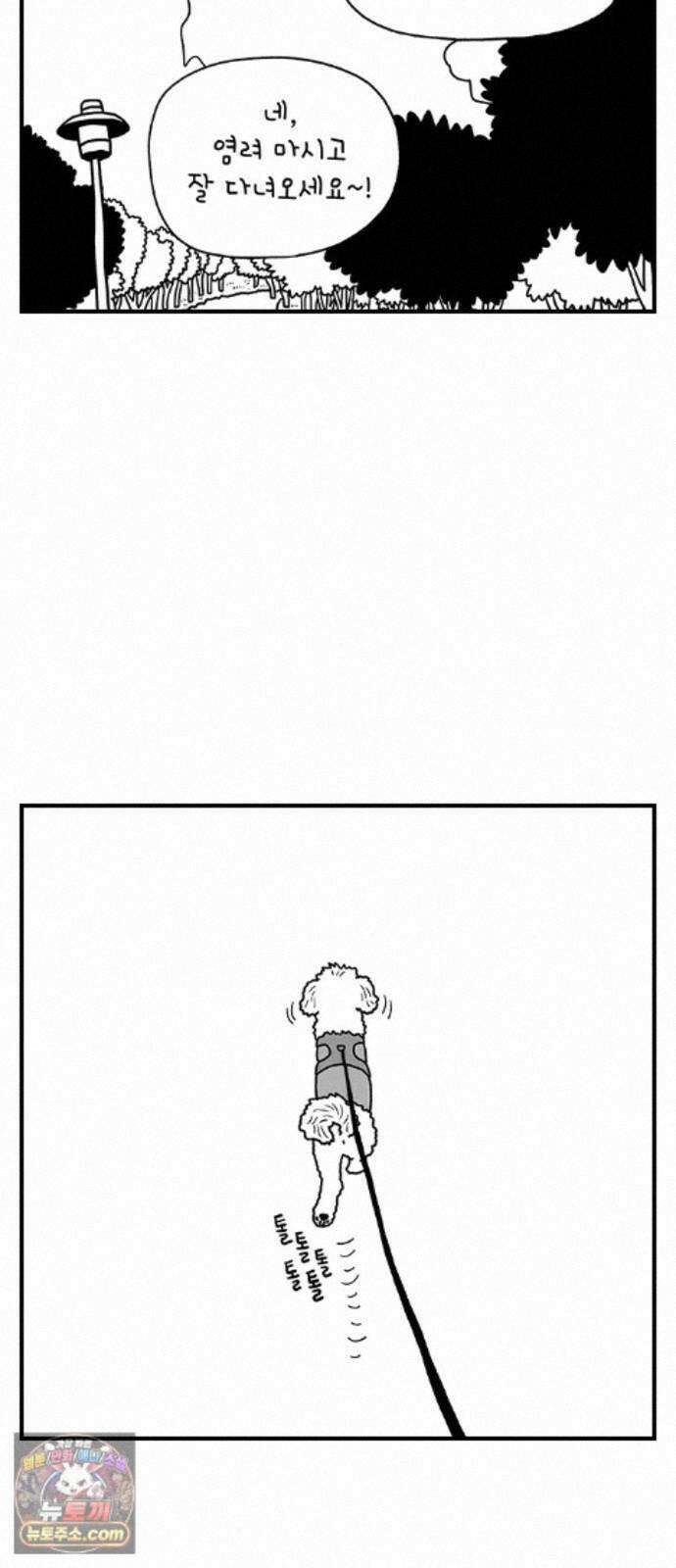 펫로스클럽 ＃41． 귤 피트니스 12