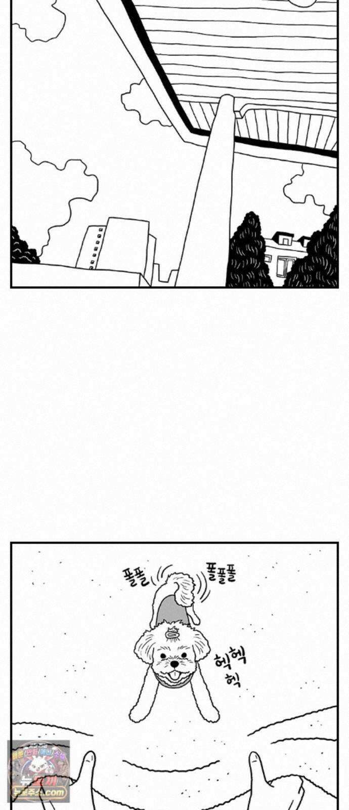 펫로스클럽 ＃41． 귤 피트니스 14