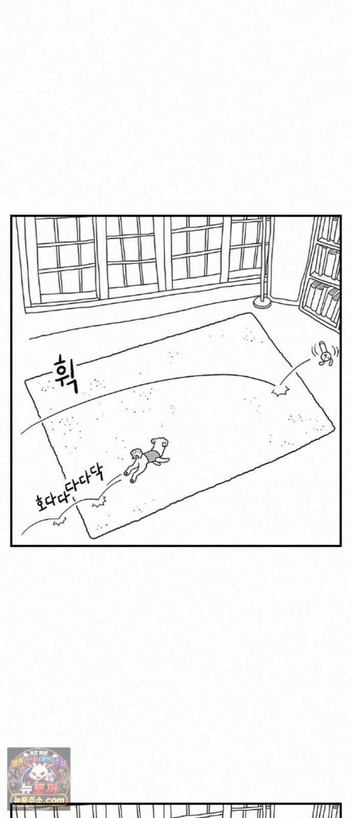 펫로스클럽 ＃41． 귤 피트니스 18