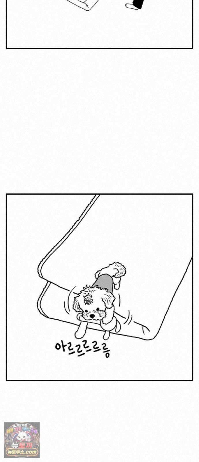 펫로스클럽 ＃41． 귤 피트니스 20