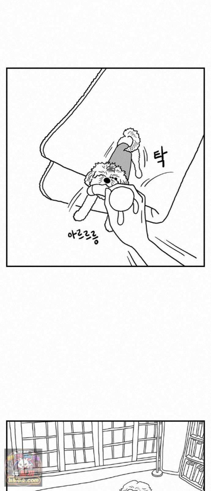 펫로스클럽 ＃41． 귤 피트니스 21