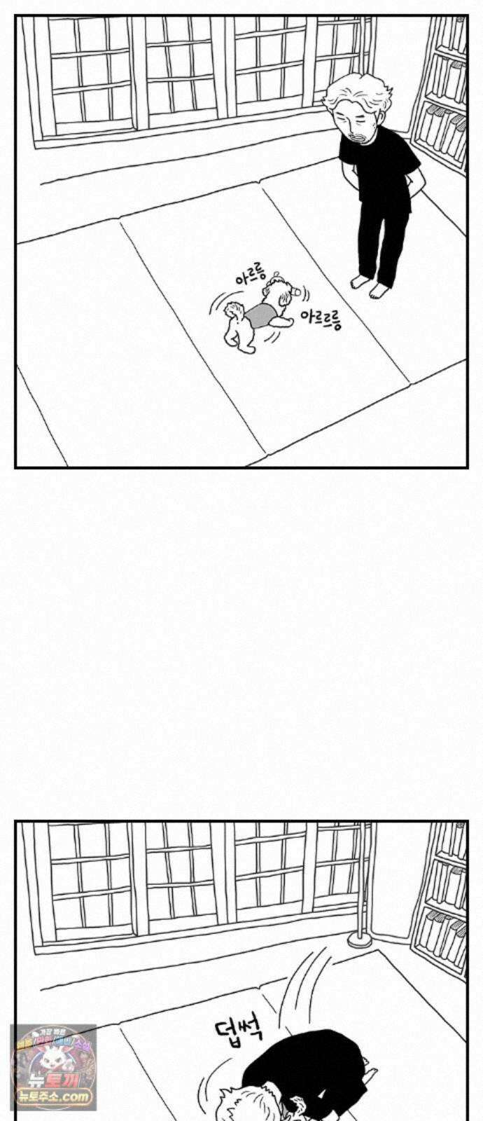 펫로스클럽 ＃41． 귤 피트니스 24