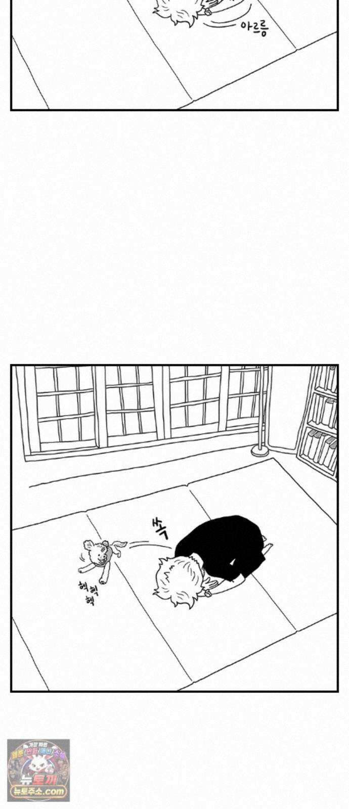펫로스클럽 ＃41． 귤 피트니스 25