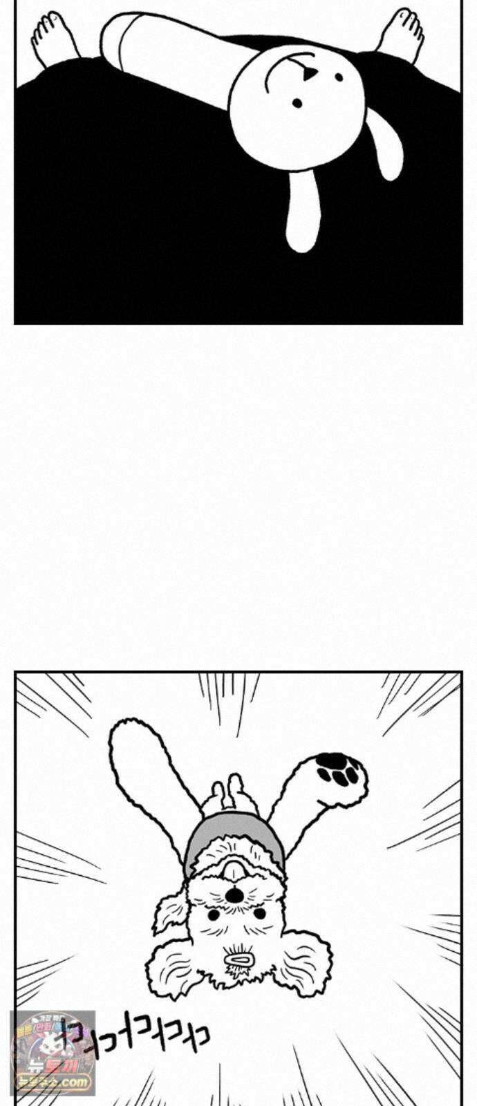 펫로스클럽 ＃41． 귤 피트니스 27