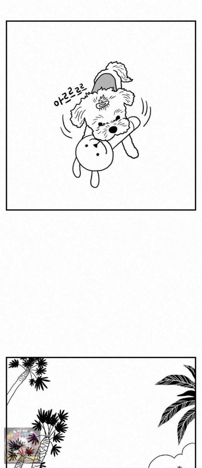 펫로스클럽 ＃41． 귤 피트니스 29