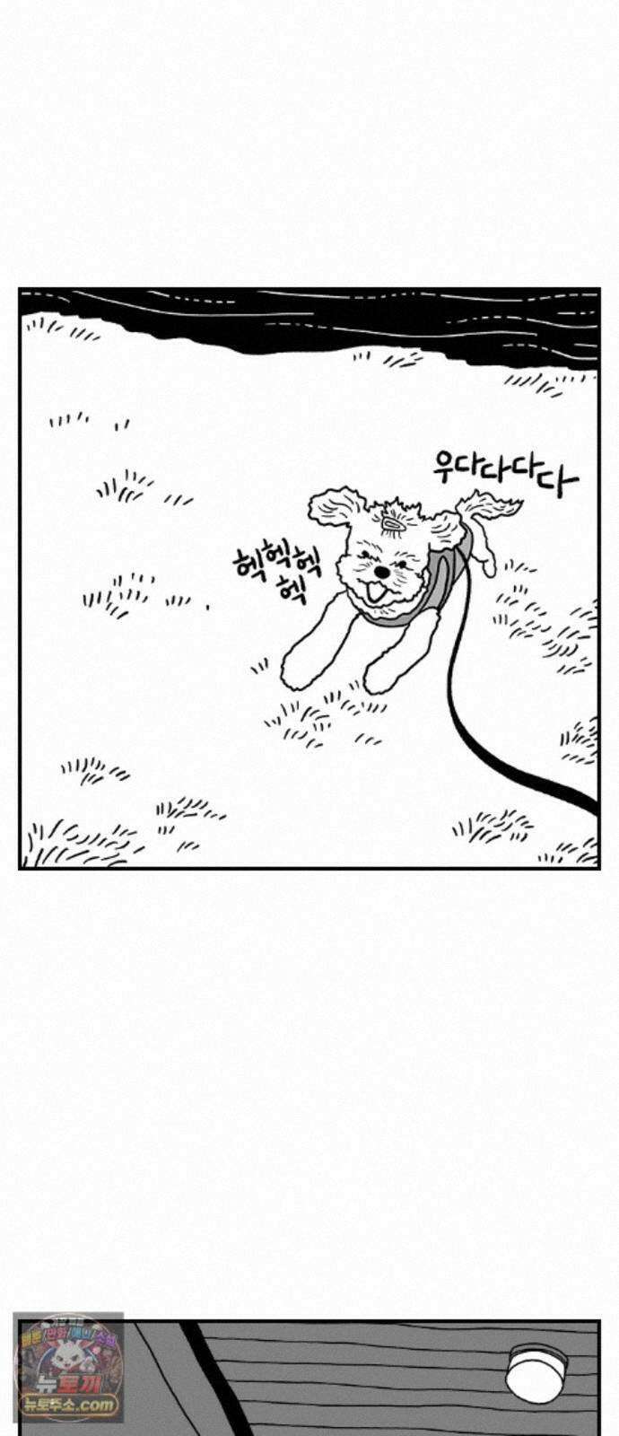 펫로스클럽 ＃41． 귤 피트니스 31