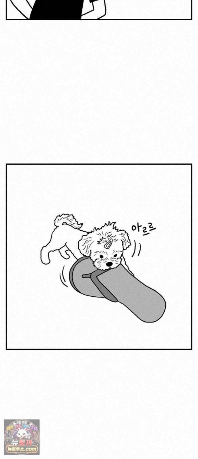 펫로스클럽 ＃41． 귤 피트니스 33