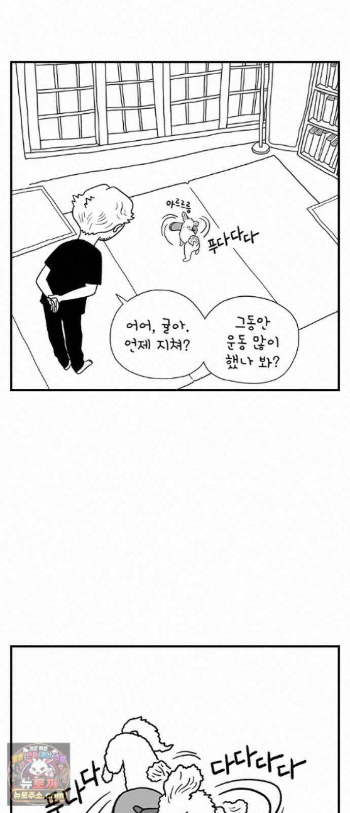 펫로스클럽 ＃41． 귤 피트니스 34