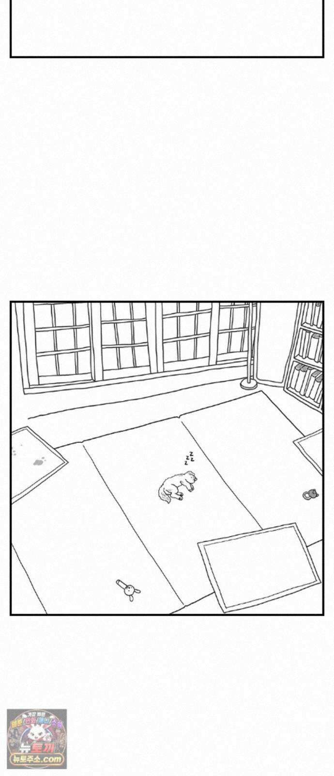 펫로스클럽 ＃41． 귤 피트니스 38