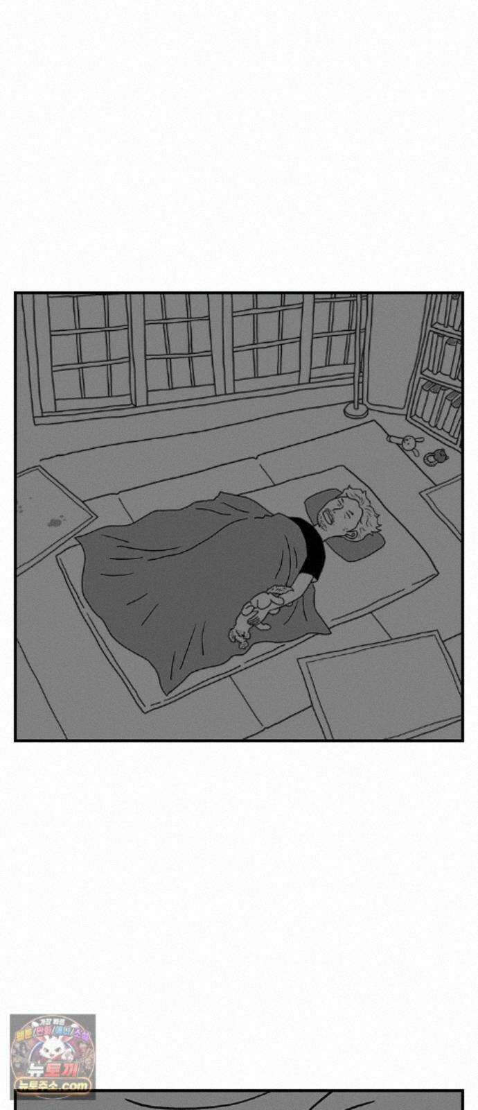 펫로스클럽 ＃41． 귤 피트니스 41