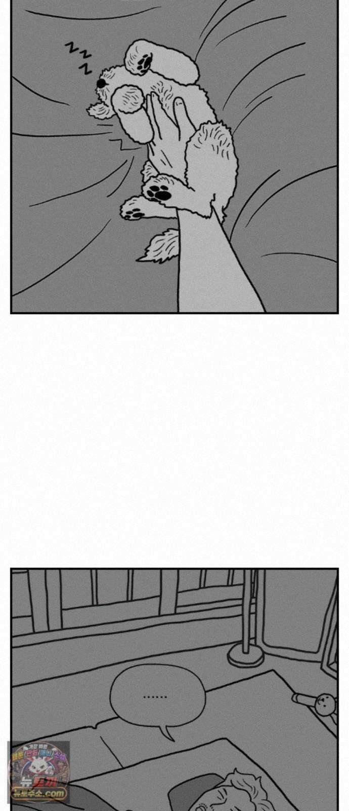 펫로스클럽 ＃41． 귤 피트니스 42
