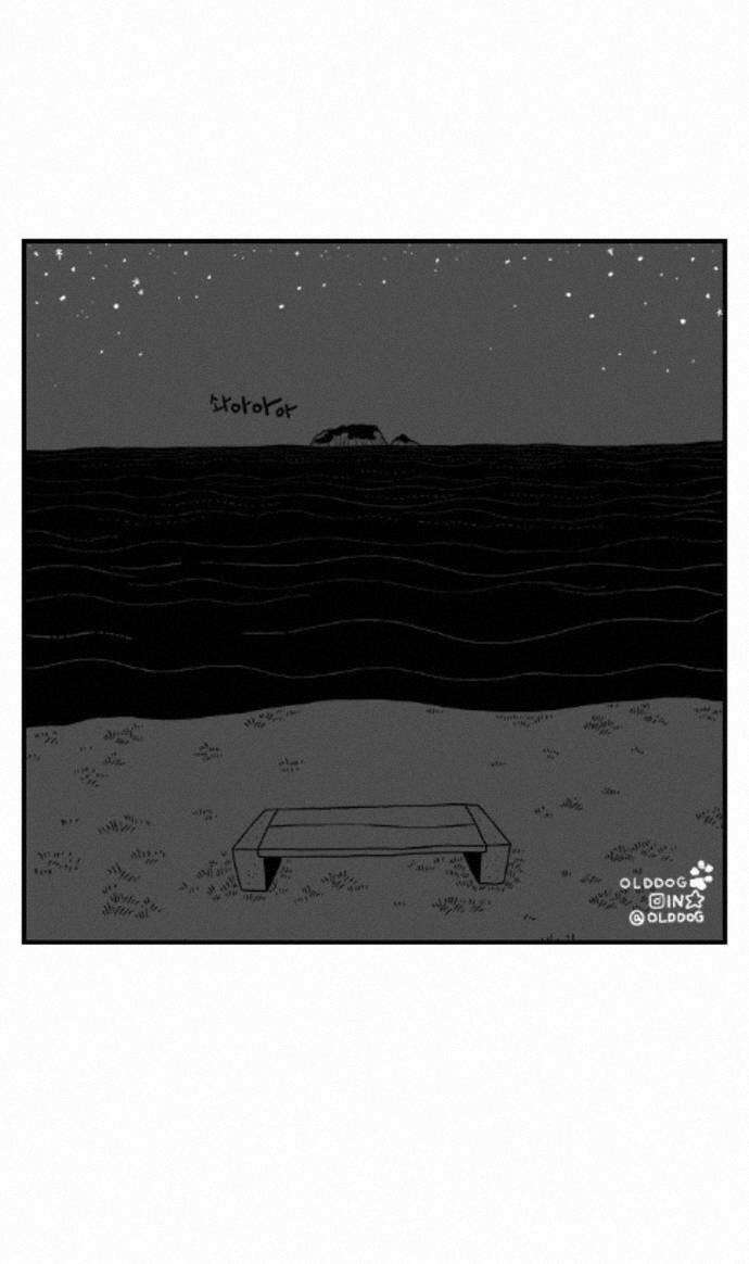 펫로스클럽 ＃41． 귤 피트니스 44