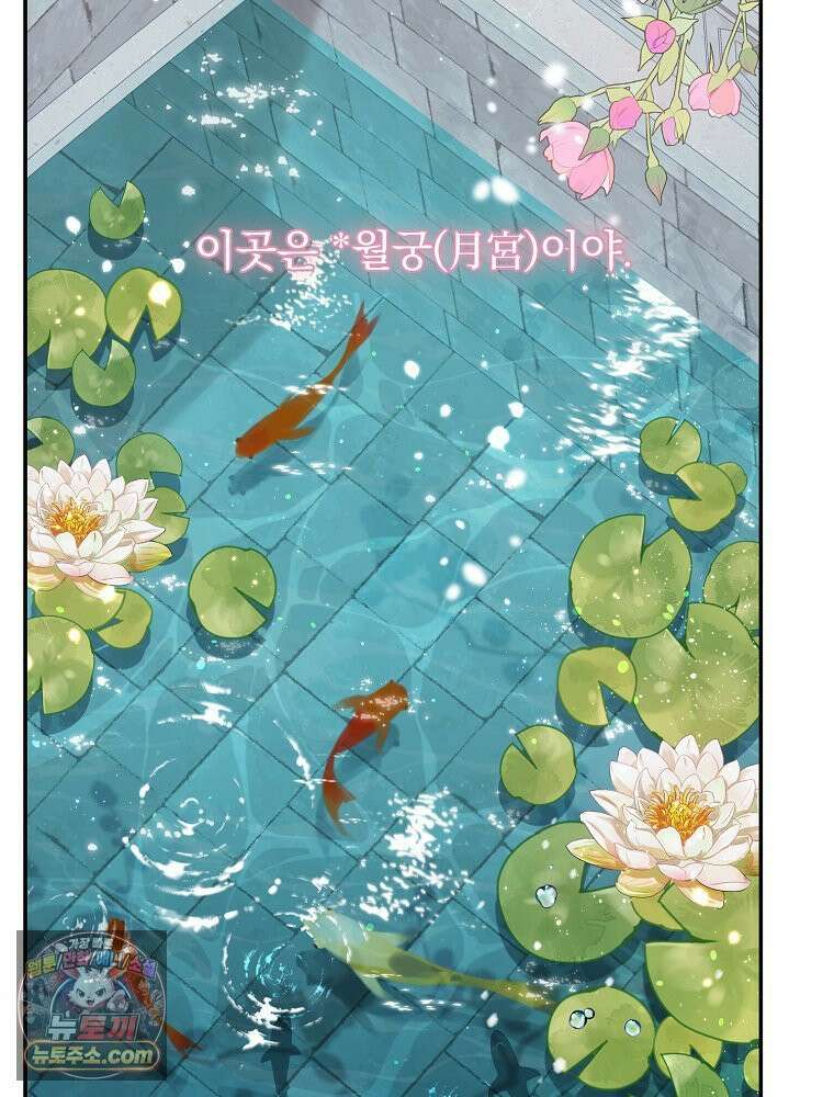 하백의 신부 2 12화 29