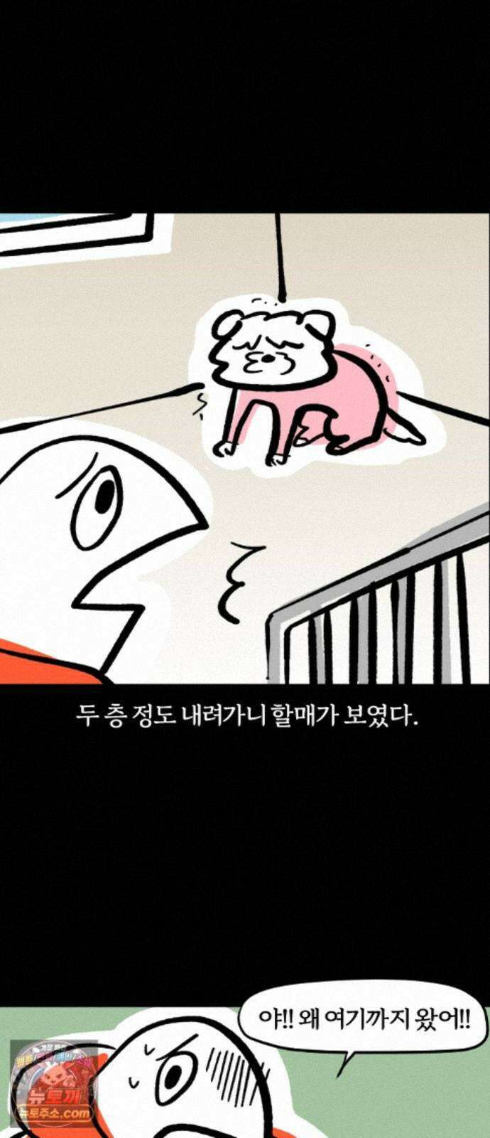 개집사 204화 못 찾겠다 꾀꼬리 11