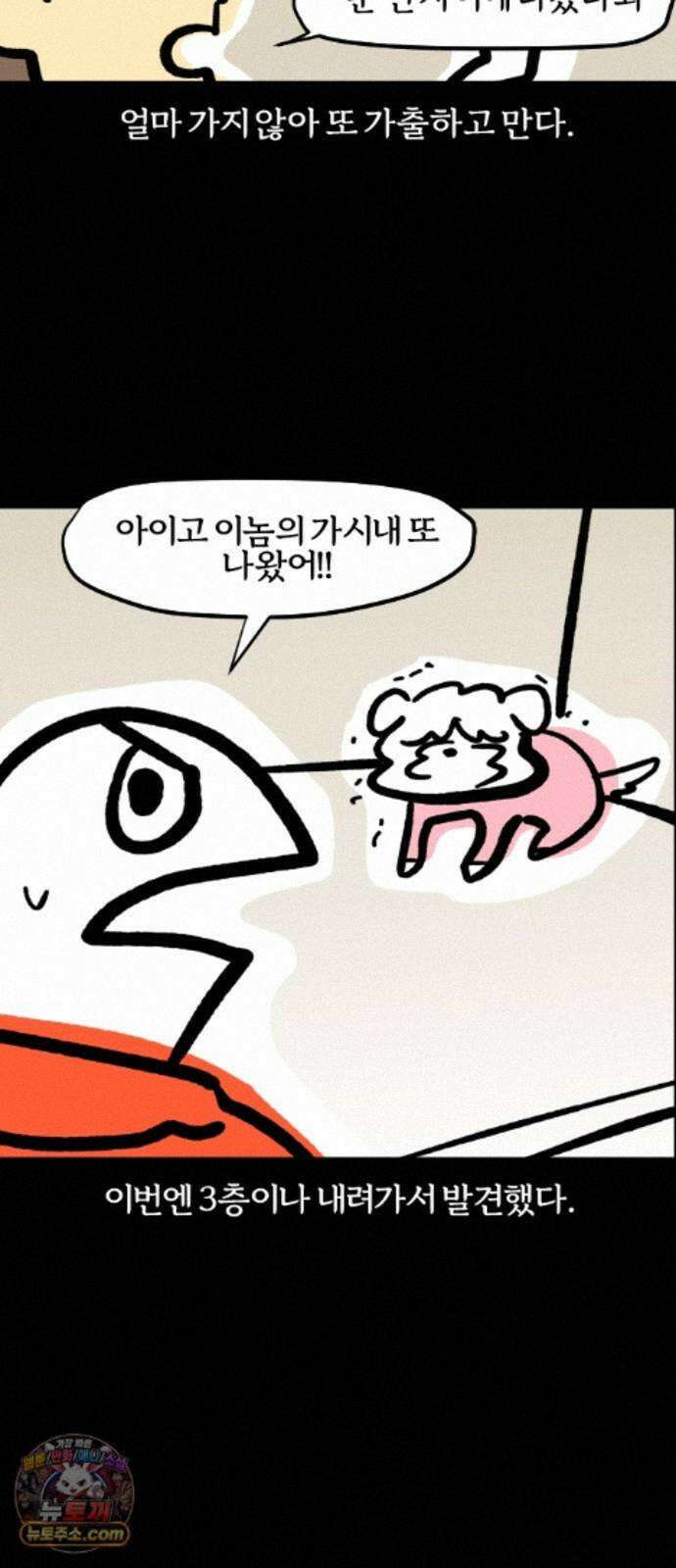 개집사 204화 못 찾겠다 꾀꼬리 15