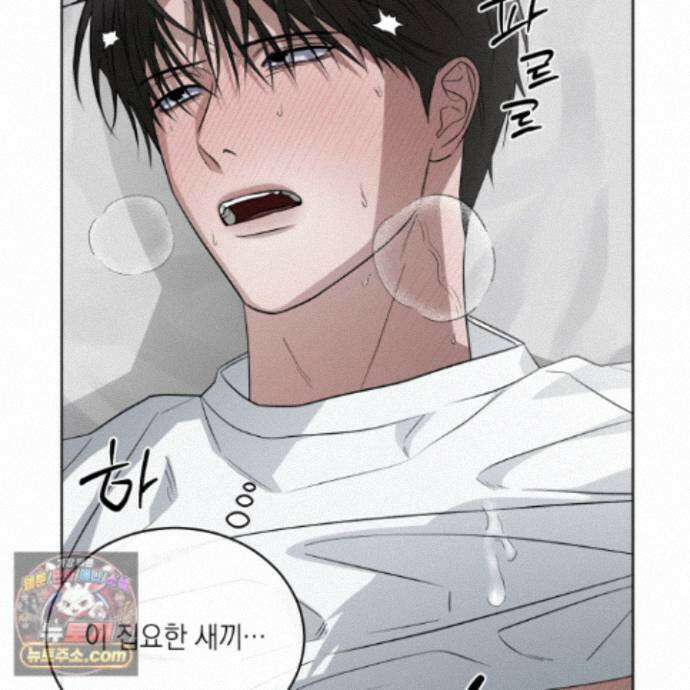 편집 불가 파트너 12화 100