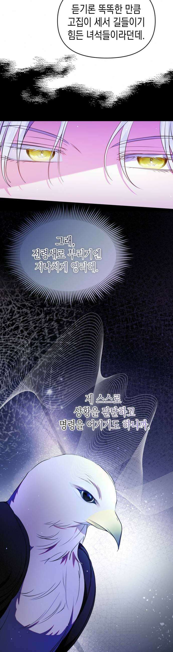 아무래도 결혼을 잘못한 것 같다 48화 5