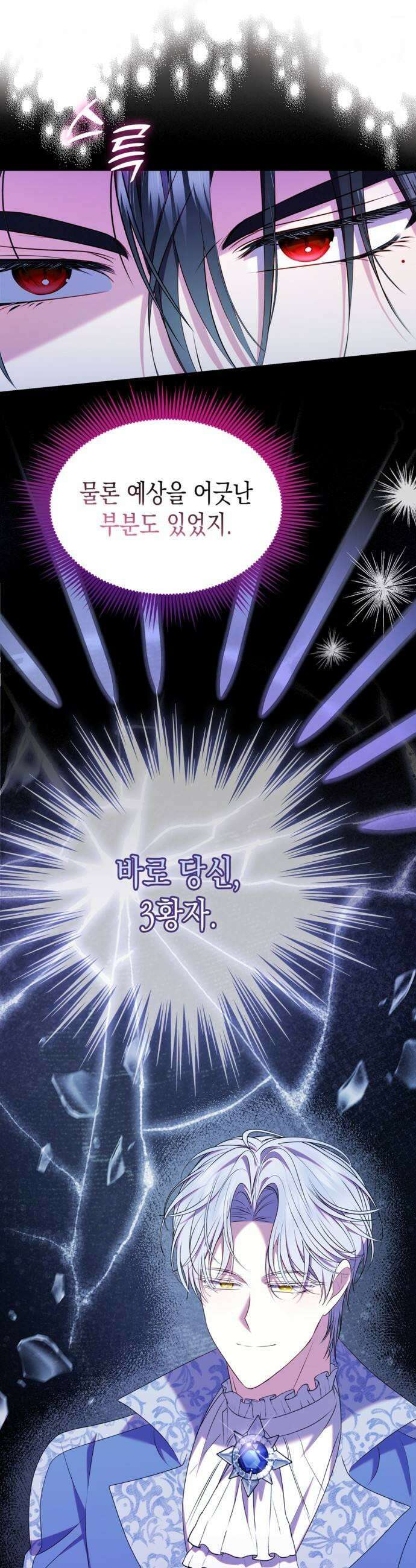 아무래도 결혼을 잘못한 것 같다 48화 17