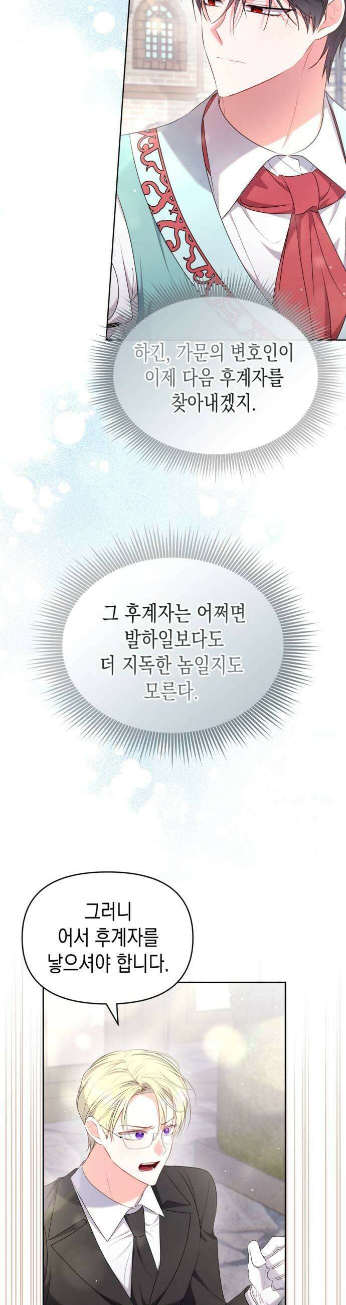 아무래도 결혼을 잘못한 것 같다 48화 29