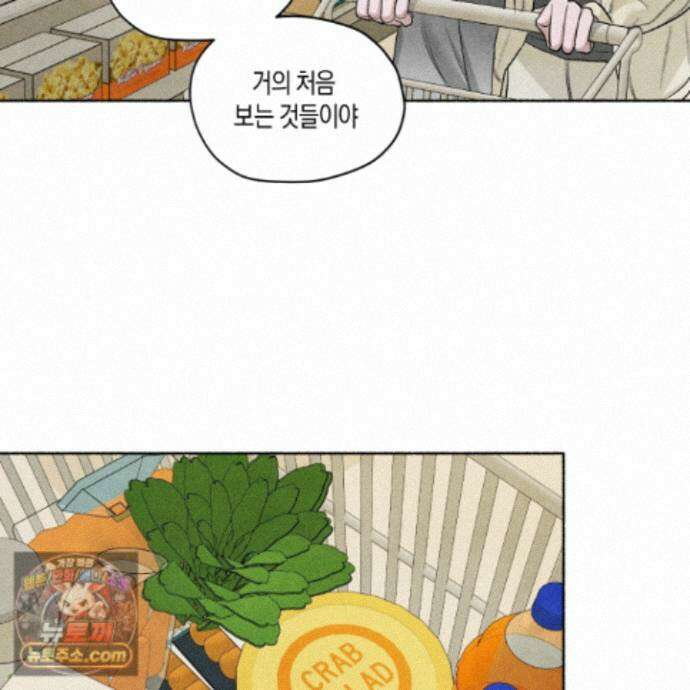 꽃이 지는 연못 81화 9