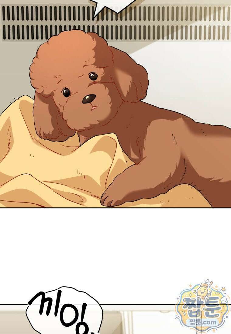 수의사님! 안녕하세요? 139화 13