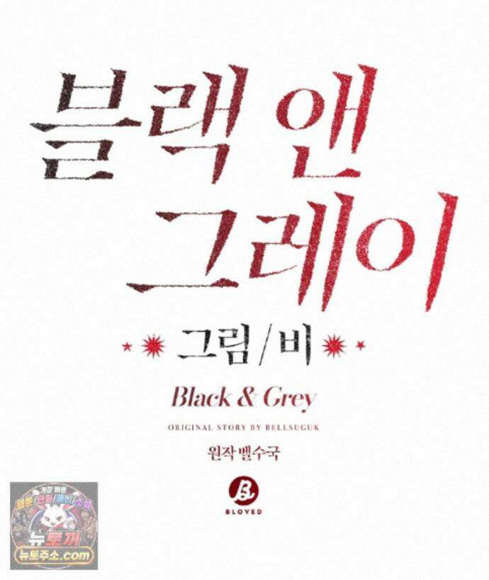 블랙 앤 그레이 47화 14