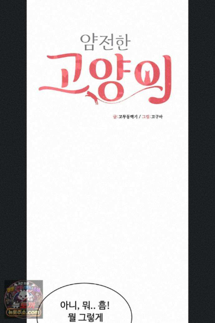 얌전한 고양이 [탑툰] 8화 13