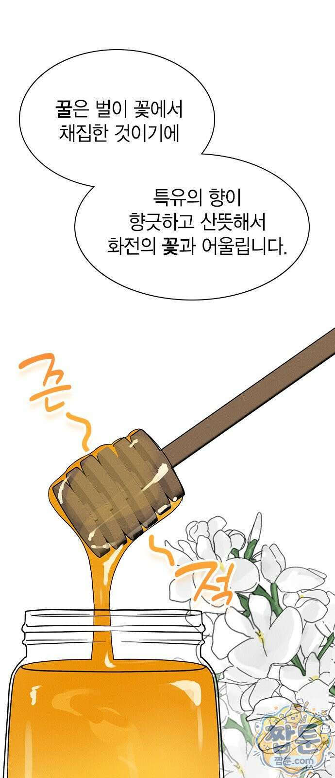 청춘정식 55화 51