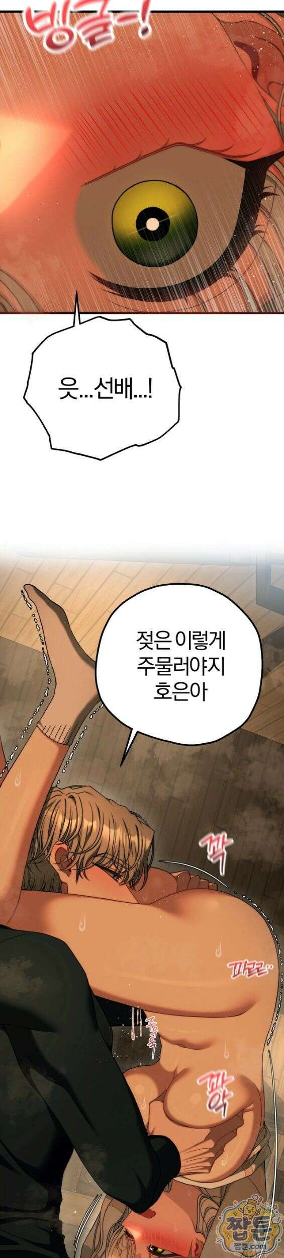 성인 독서회 외전2 형인(2) 15