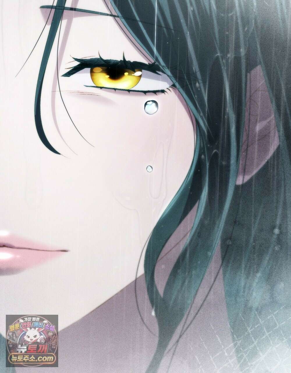 상류 사회[리디] 85화 74