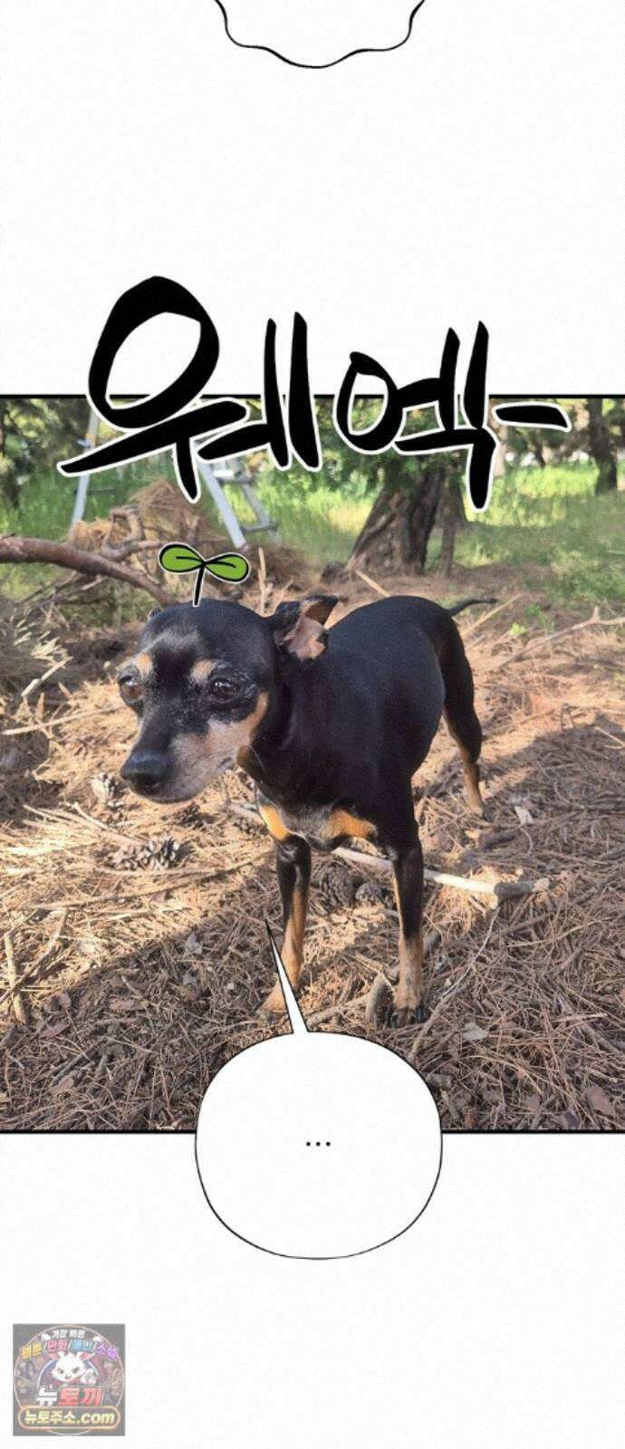 몬스터와 힐링하는 S급 헌터 시즌 1 후기 만화 45