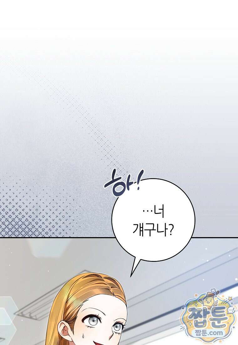 망할 운명의 걸그룹 리더가 되었습니다 61화 1