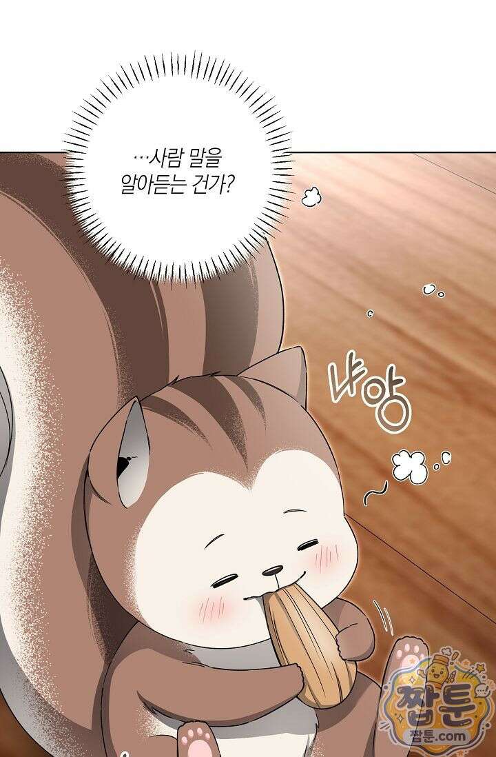 외로운 다람쥐도 제 굴이 있다 7화 5