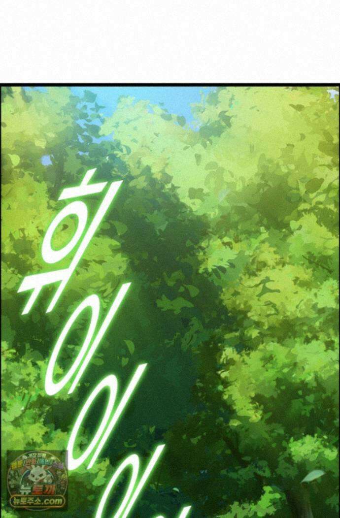 신급으로 레벨업! 177화 31