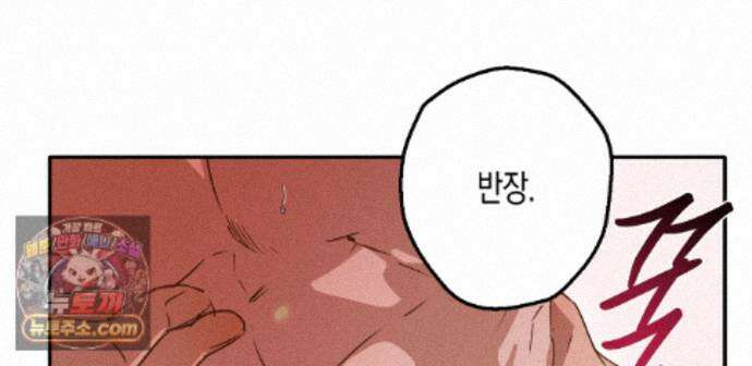 하이스쿨 솔티 하트 26화 135