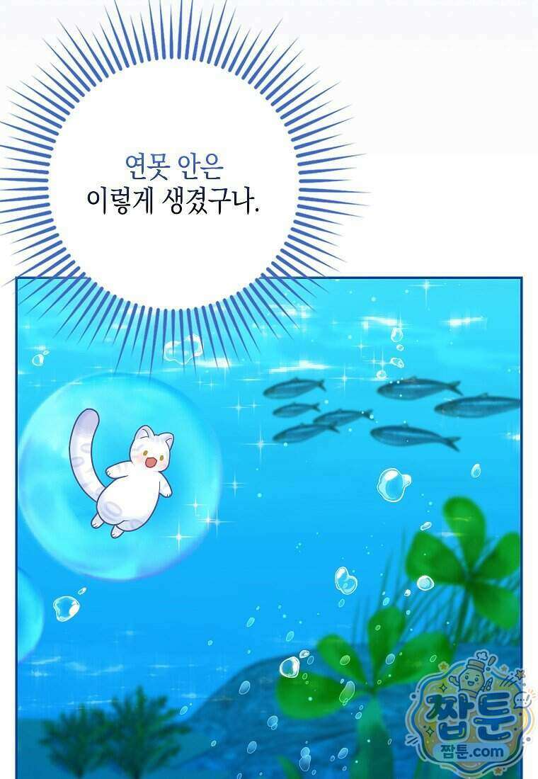 흑표 가문의 설표 아기님 74화 57