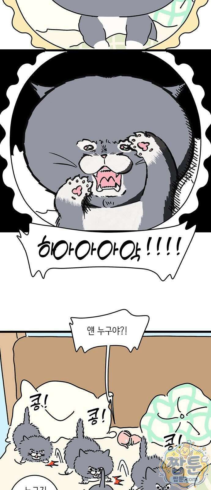 아이돌리 21화 3