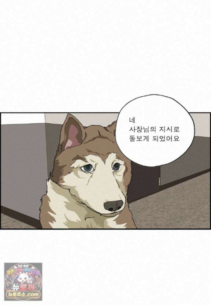달마부장 시즌2 530화 현대인의 병 13