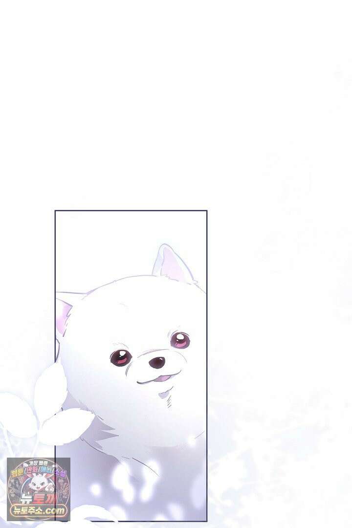 내 반려동물이 악당이 되었을 때 22화 9