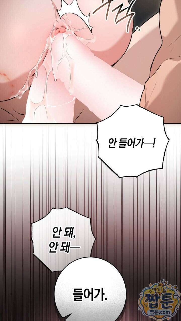 그 귀족가 형제들의 사정 19화 9