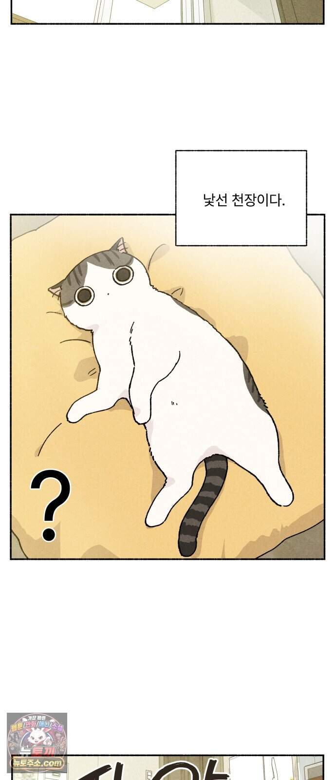 나랑 같이살아 2화 배고픈 하루 15