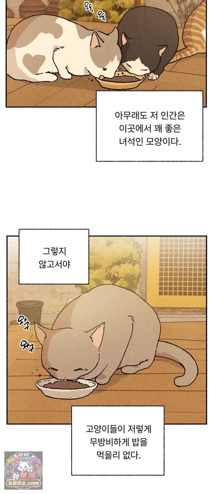 나랑 같이살아 2화 배고픈 하루 38