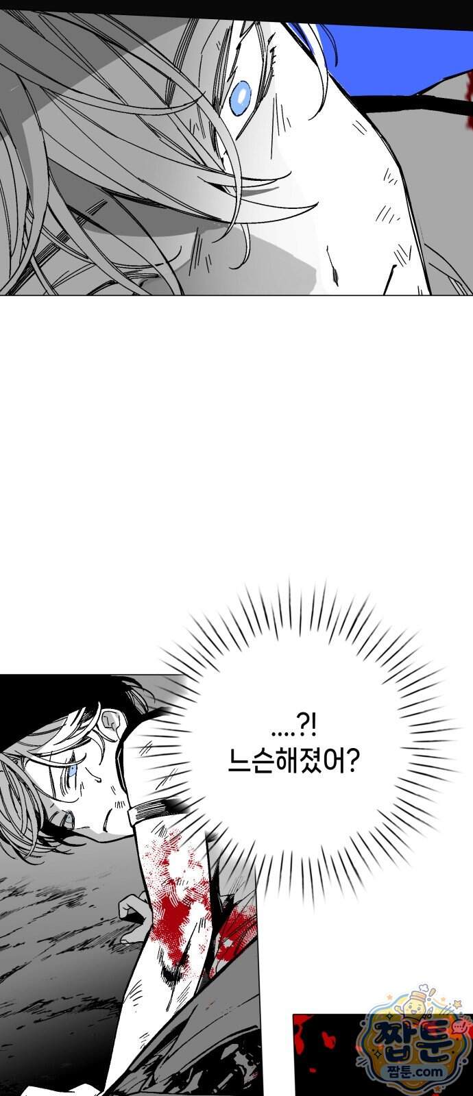 비터사이드 크렌베리스 051화 61